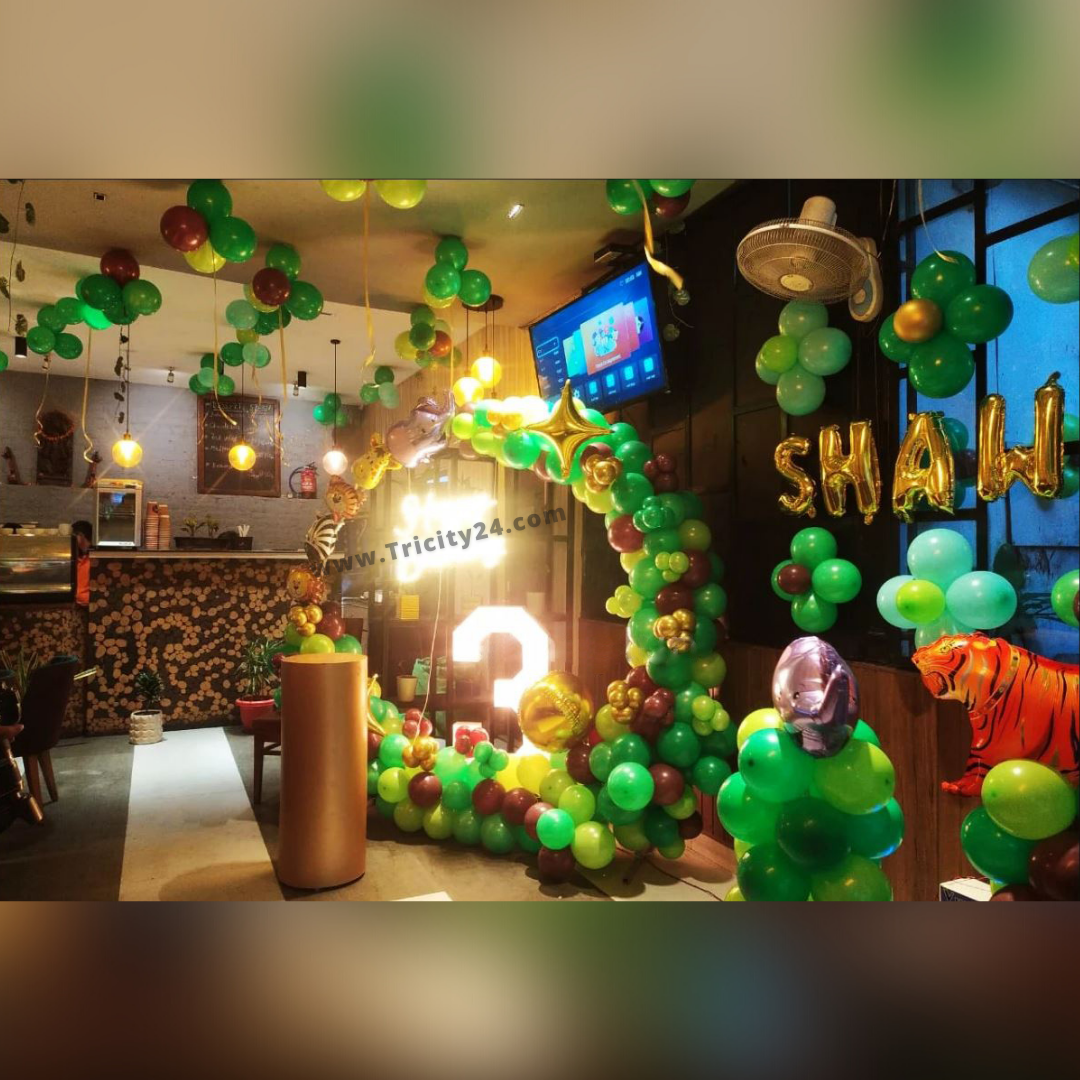 Jungle Theme Birthday Party Decoration P412 . Tricity 24