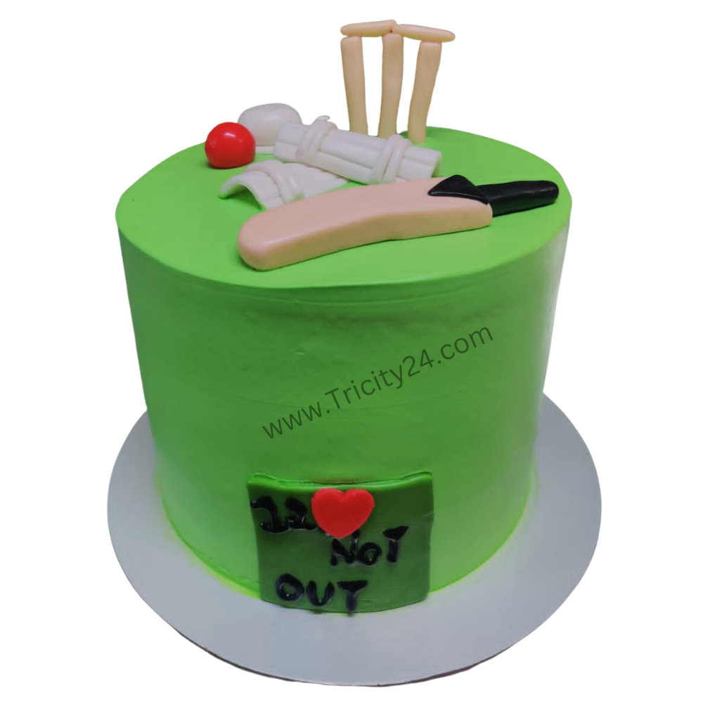(M759) Cricket Theme Cake(1Kg)