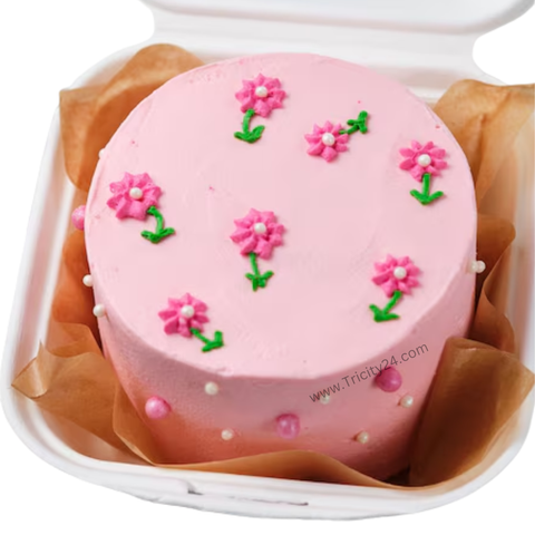 (M1281)  Bento Cake