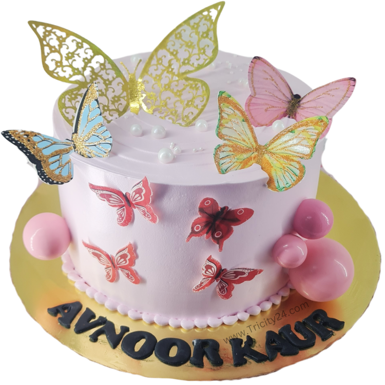 (M1096) Buterfly Theme Cake (1 Kg)