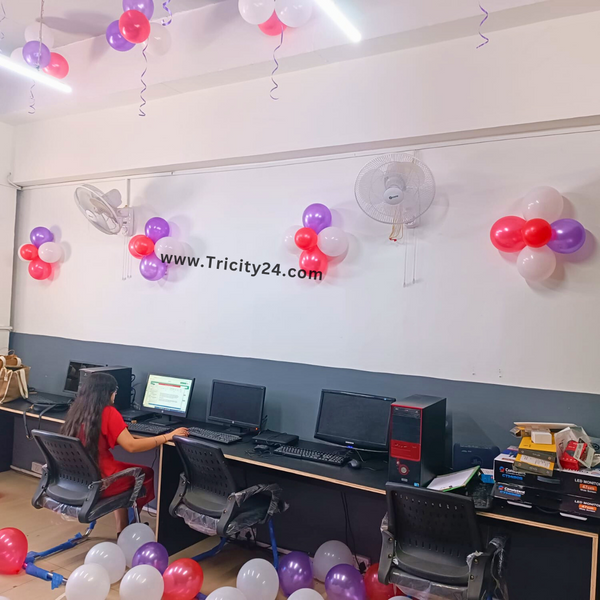 Corporate Party Balloon Decoration (P598).
