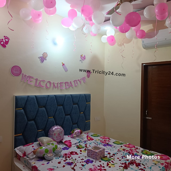 Welcome Baby Girl Party Decoration (P599).