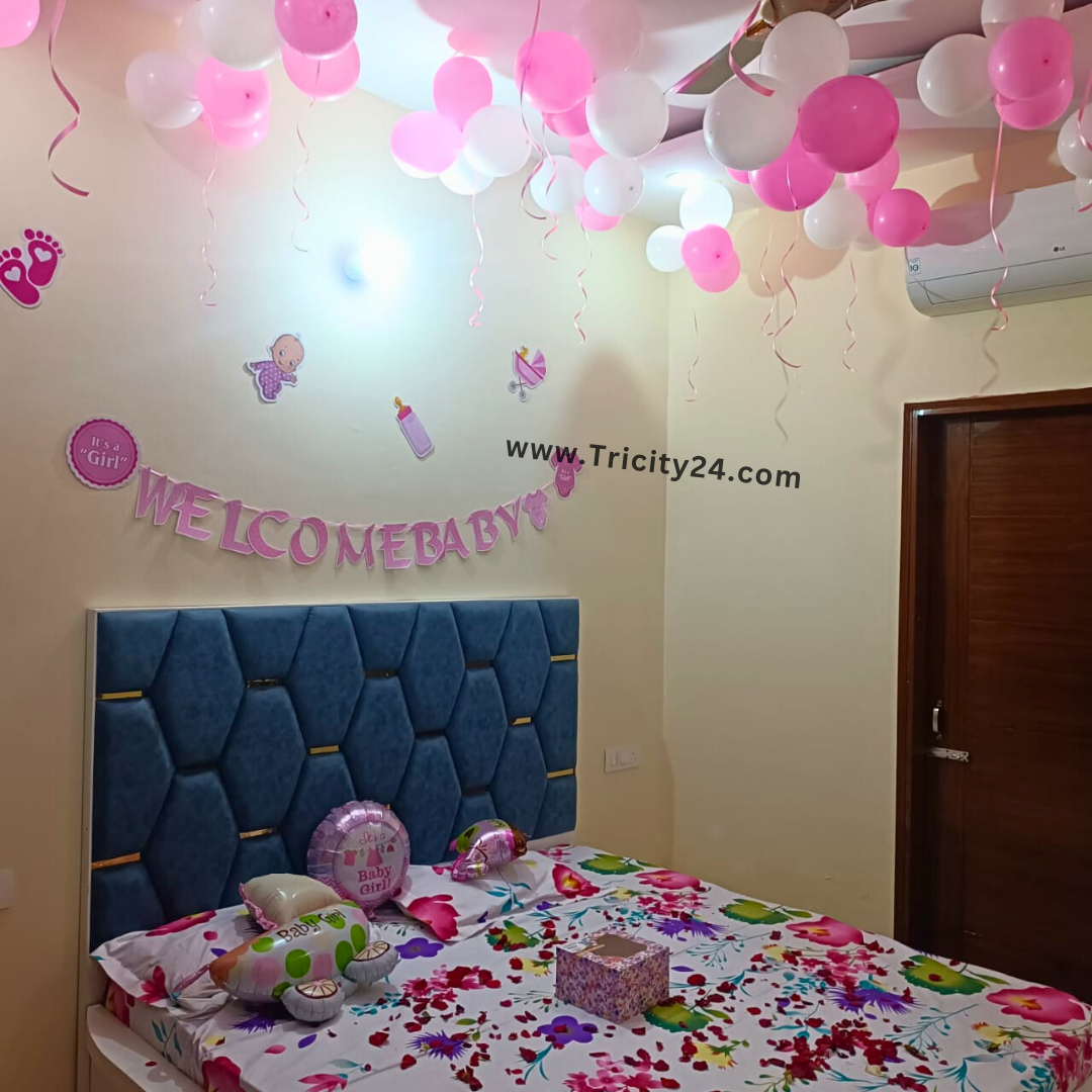 Welcome Baby Girl Party Decoration (P599).