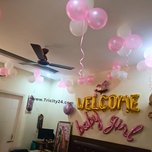 Welcome Theme Baby Girl Party Decoration (P600).