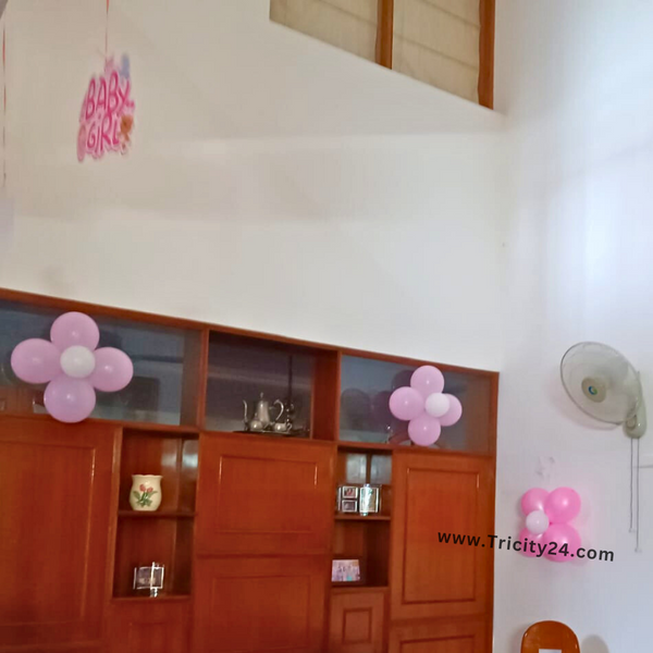 Welcome Baby Decoration (P632).