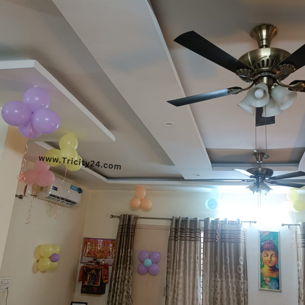 Happy Birthday Decoration  (P648).