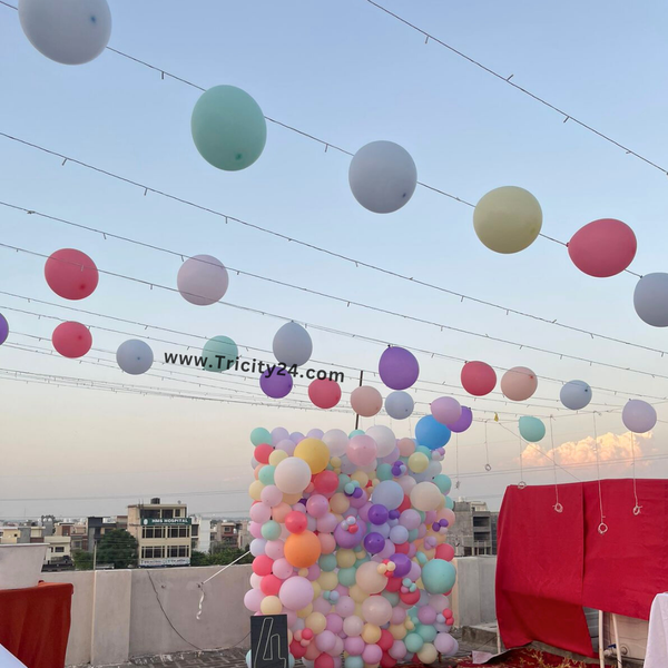 Decoration At Terrace (P670).