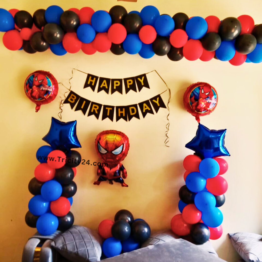 Spider Man Theme Birhtday Decoration (P753).