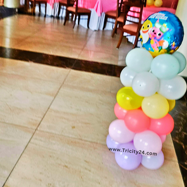 Baby Shark Theme Birthday Decoration (P764).