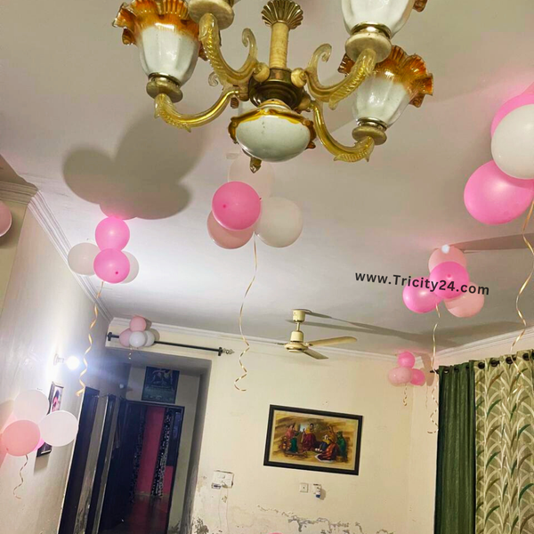 Happy Birthday Decoration (P801).