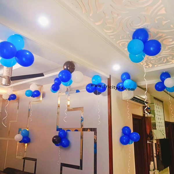 Happy Birthday Decoration In Hall (P815).