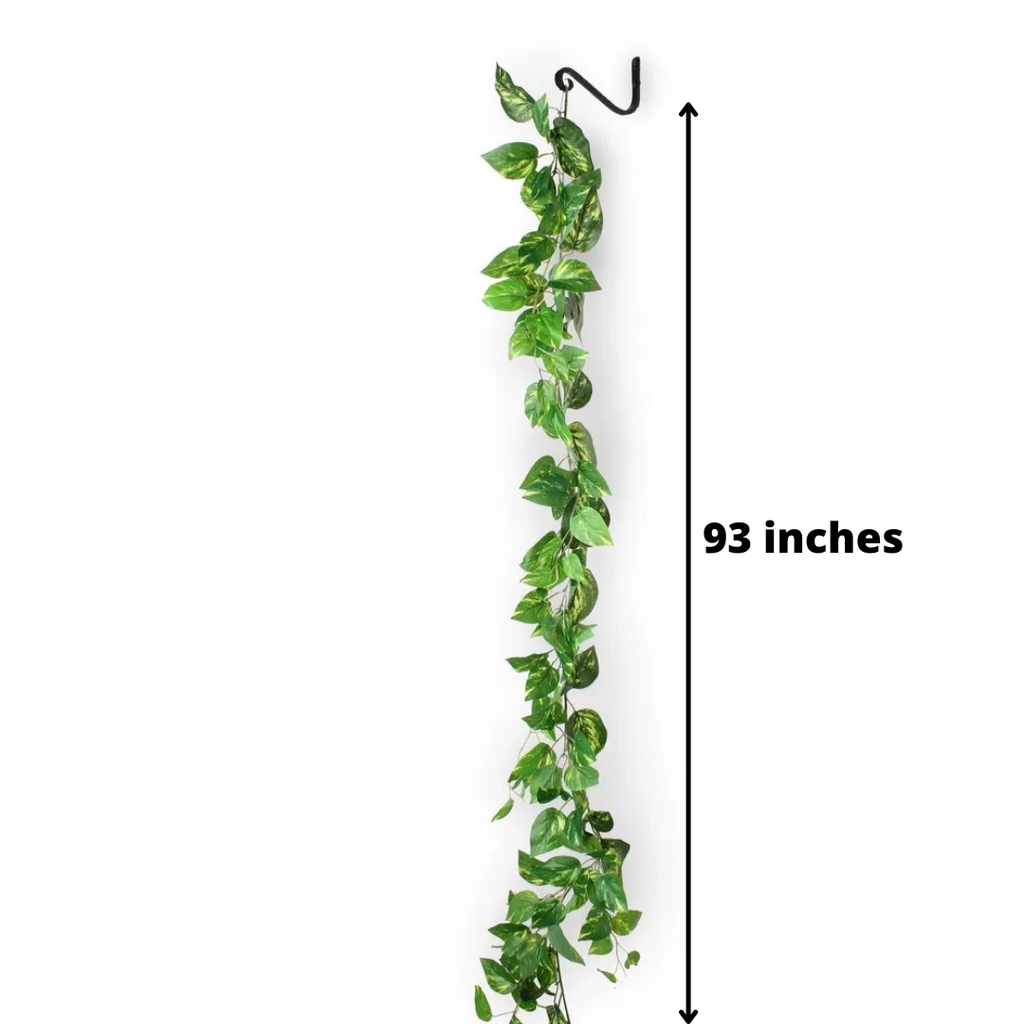 creeper money plant Home Decor Artificial Creeper Money Plant Leaf Garland (Rental) R11 – Tricity 24