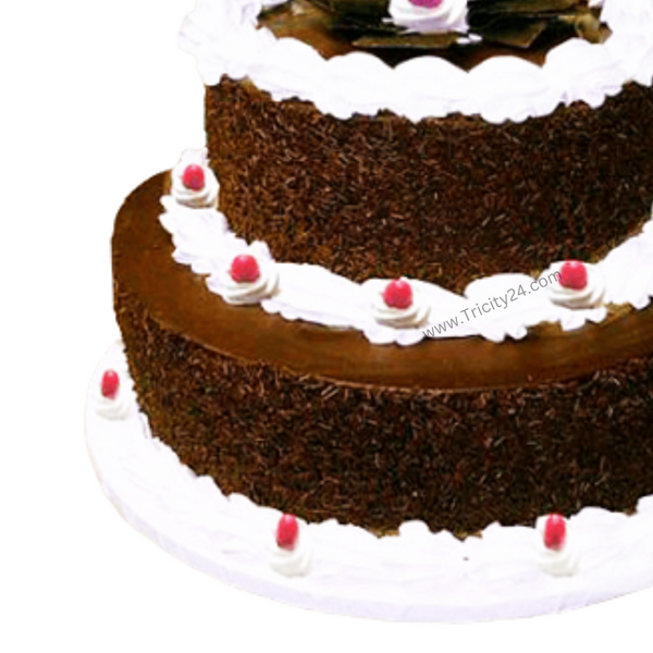 (M159) Black Chocolate Cherry Cake (2 Kg).
