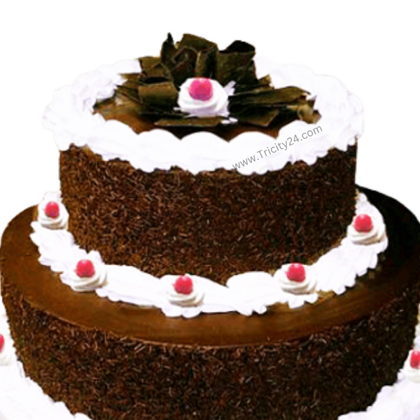(M159) Black Chocolate Cherry Cake (2 Kg).