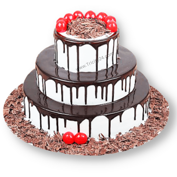 (M169) Choco Vanilla Forest Cake (3 Kg).