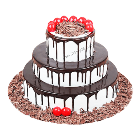 (M169) Choco Vanilla Forest Cake (3 Kg).