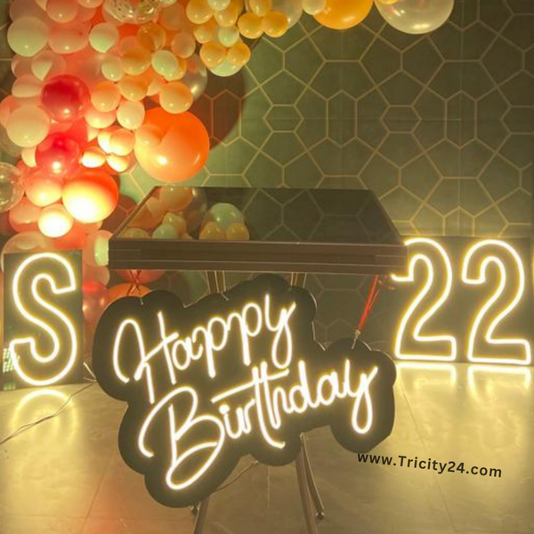 22nd Birthday Party Decoration (P560).