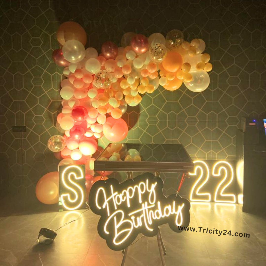 22nd Birthday Party Decoration (P560).