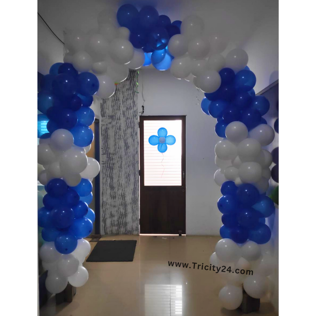 Balloon Gate Decoration P569 . Tricity 24