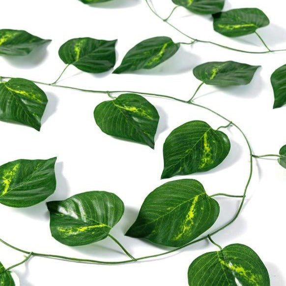 creeper money plant Home Decor Artificial Creeper Money Plant Leaf Garland (Rental) R11 – Tricity 24