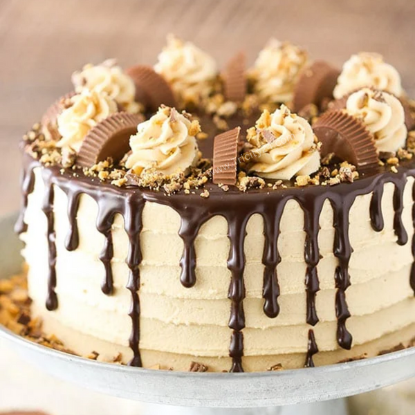 (M113) Peanut Butter Chocolate Cake (Half Kg).