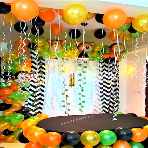 Birthday Decoration.