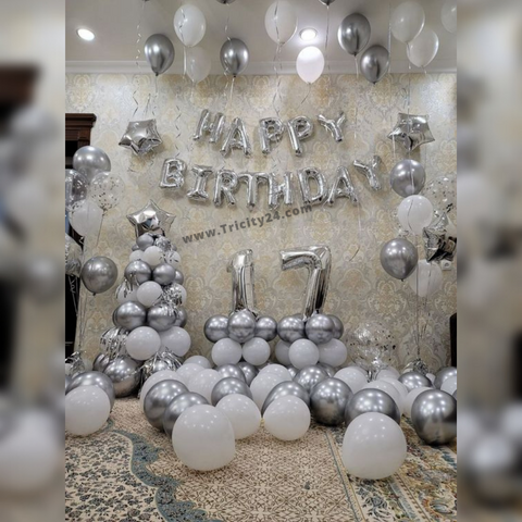 Silver Birthday Theme Party Decoration (P197).