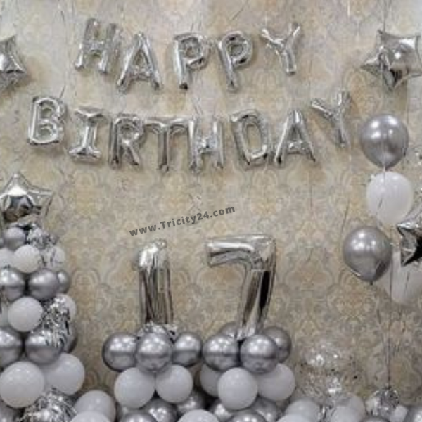 Silver Birthday Theme Party Decoration (P197).