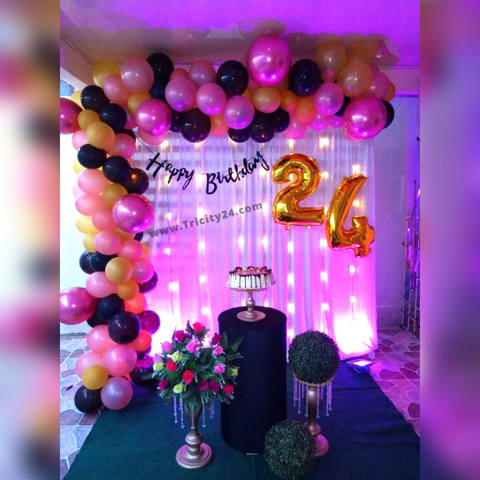 Birthday Party Decoration (P208).