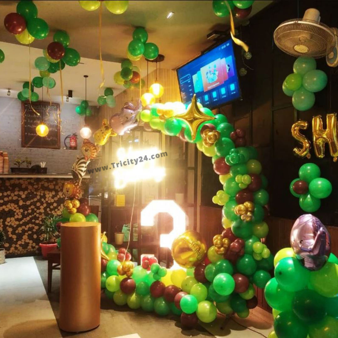 Jungle Theme Birthday Party Decoration – Tricity 24